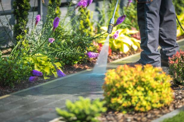Best Soft Washing for Delicate Surfaces in Lula, GA