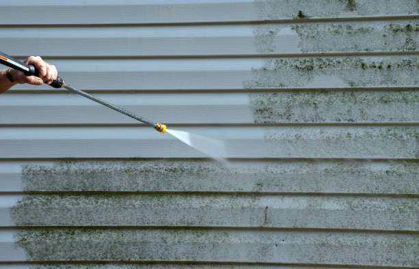 Best Roof Cleaning and Mildew Removal in Lula, GA